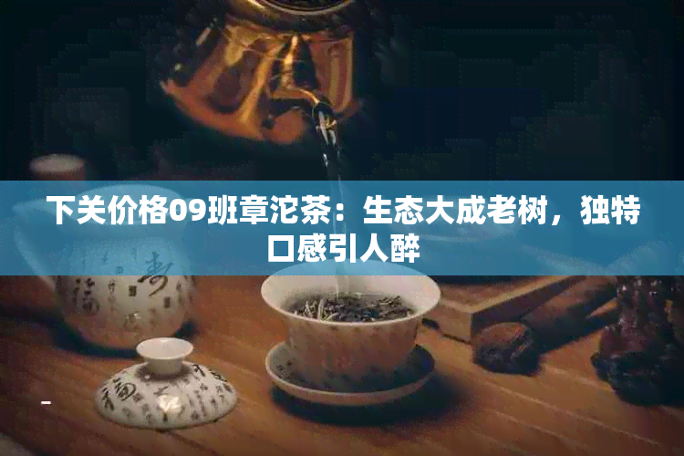 下关价格09班章沱茶：生态大成老树，独特口感引人醉