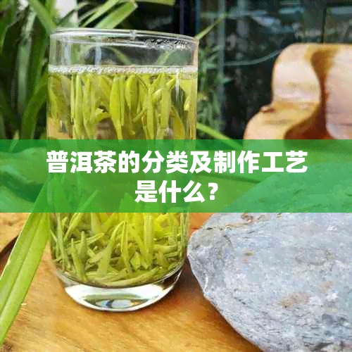 普洱茶的分类及制作工艺是什么？