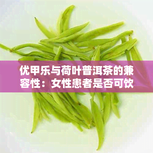 优甲乐与荷叶普洱茶的兼容性：女性患者是否可饮？