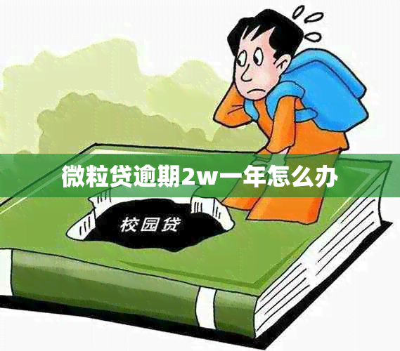 微粒贷逾期2w一年怎么办