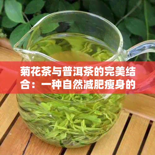 菊花茶与普洱茶的完美结合：一种自然减肥瘦身的新选择