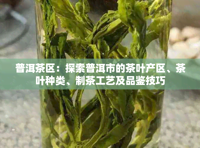 普洱茶区：探索普洱市的茶叶产区、茶叶种类、制茶工艺及品鉴技巧