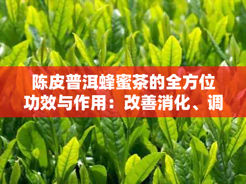 陈皮普洱蜂蜜茶的全方位功效与作用：改善消化、调节免疫、降血脂等