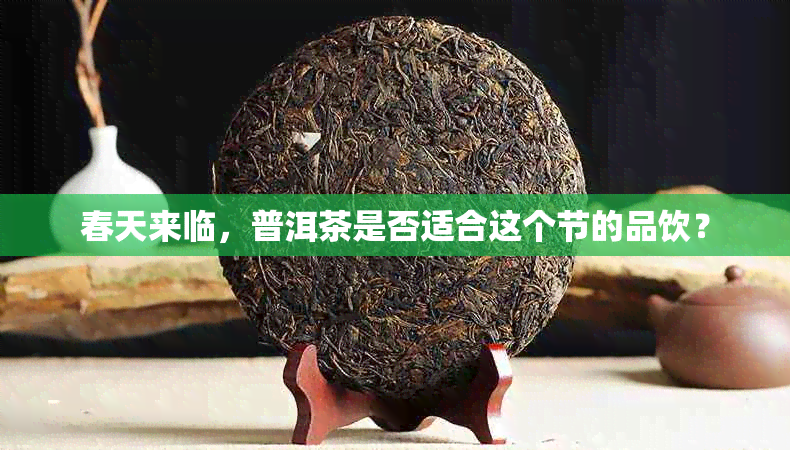 春天来临，普洱茶是否适合这个节的品饮？