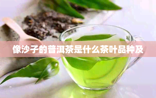 像沙子的普洱茶是什么茶叶品种及