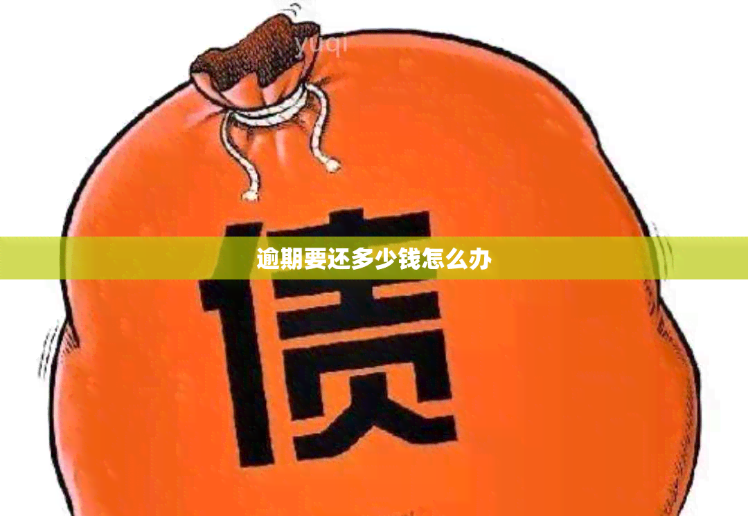 逾期要还多少钱怎么办