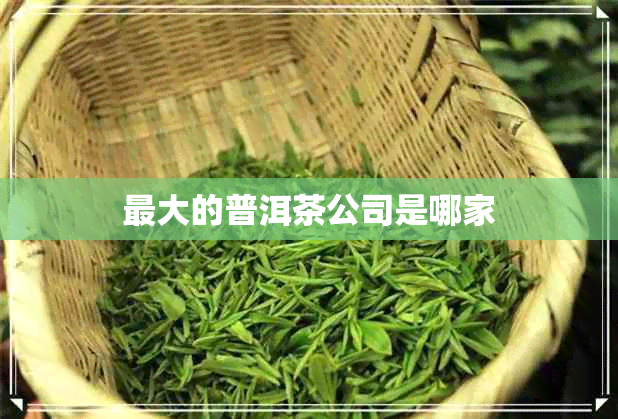 更大的普洱茶公司是哪家