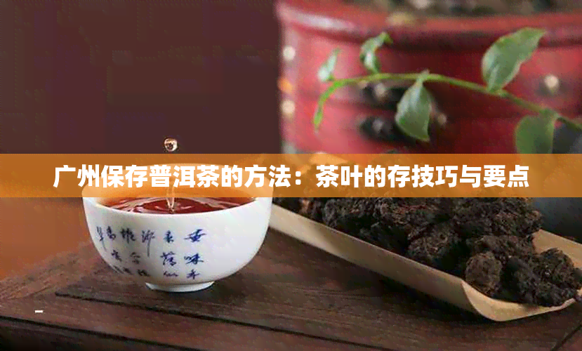 广州保存普洱茶的方法：茶叶的存技巧与要点