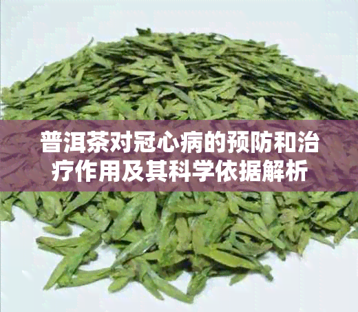 普洱茶对冠心病的预防和治疗作用及其科学依据解析