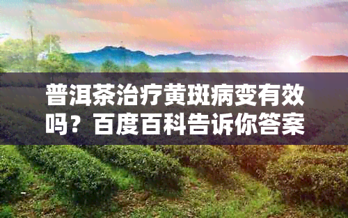 普洱茶治疗黄斑病变有效吗？百度百科告诉你答案。