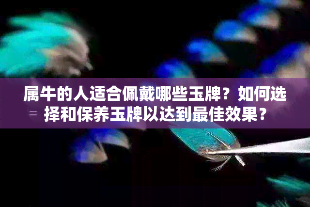 属牛的人适合佩戴哪些玉牌？如何选择和保养玉牌以达到更佳效果？