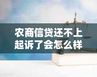 农商信贷还不上起诉了会怎么样