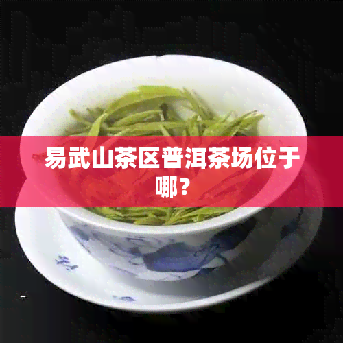 易武山茶区普洱茶场位于哪？