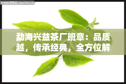 勐海兴益茶厂班章：品质越，传承经典，全方位解答您的茶叶问题