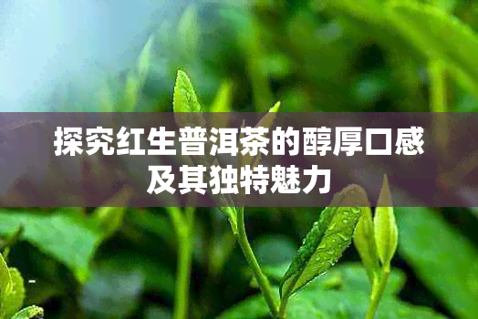 探究红生普洱茶的醇厚口感及其独特魅力