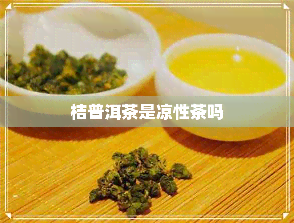 桔普洱茶是凉性茶吗