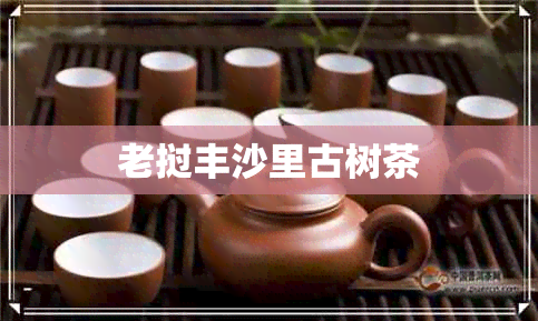 老挝丰沙里古树茶