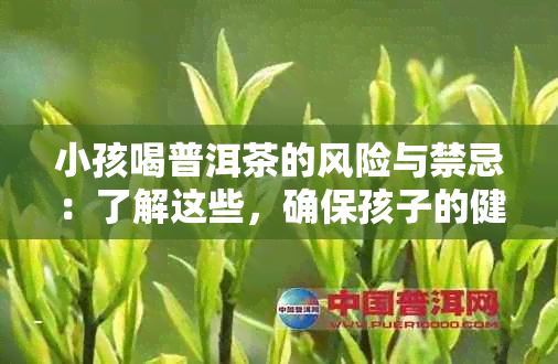 小孩喝普洱茶的风险与禁忌：了解这些，确保孩子的健与安全