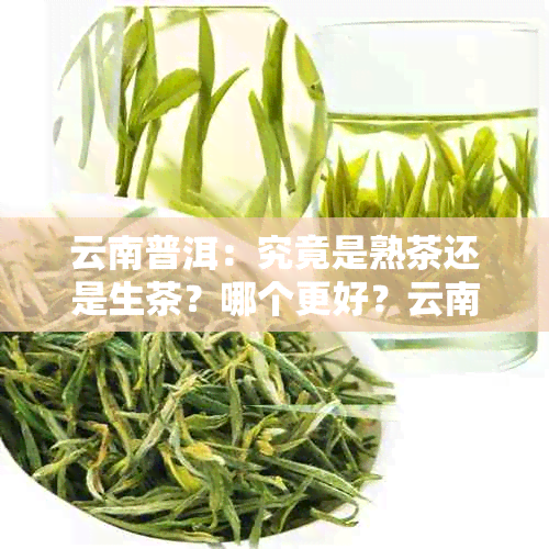 云南普洱：究竟是熟茶还是生茶？哪个更好？云南普洱茶的制作方式解析