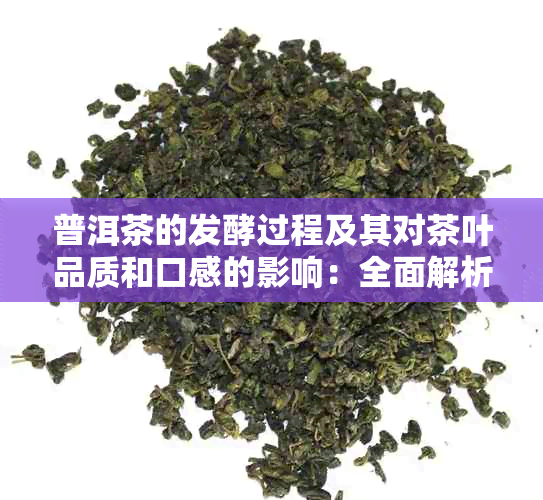 普洱茶的发酵过程及其对茶叶品质和口感的影响：全面解析