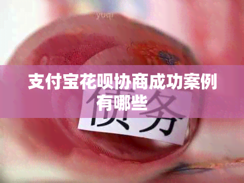 支付宝花呗协商成功案例有哪些