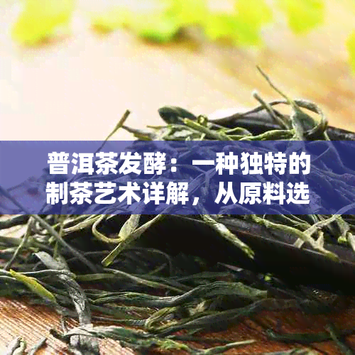 普洱茶发酵：一种独特的制茶艺术详解，从原料选取到工艺流程的全面探索