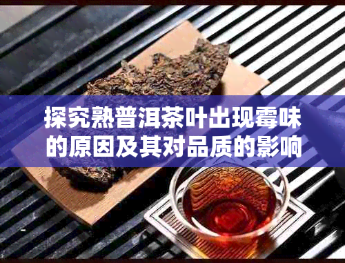 探究熟普洱茶叶出现霉味的原因及其对品质的影响