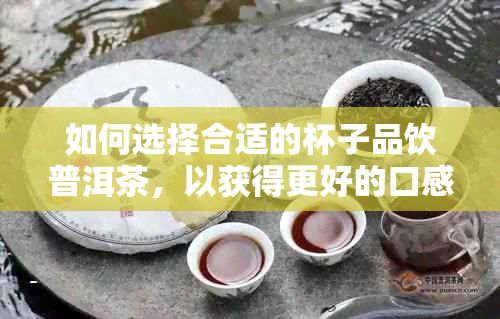 如何选择合适的杯子品饮普洱茶，以获得更好的口感和体验？