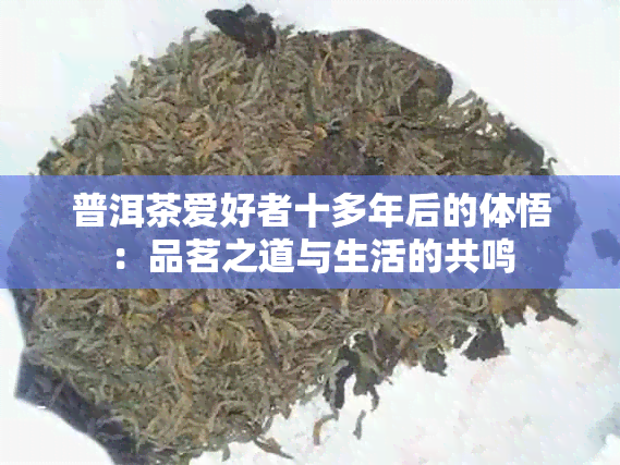 普洱茶爱好者十多年后的体悟：品茗之道与生活的共鸣