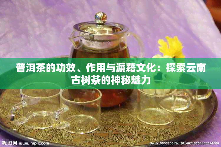 普洱茶的功效、作用与濂藉文化：探索云南古树茶的神秘魅力