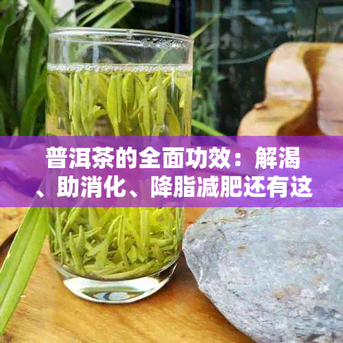 普洱茶的全面功效：解渴、助消化、降脂减肥还有这么多你不知道的好处！