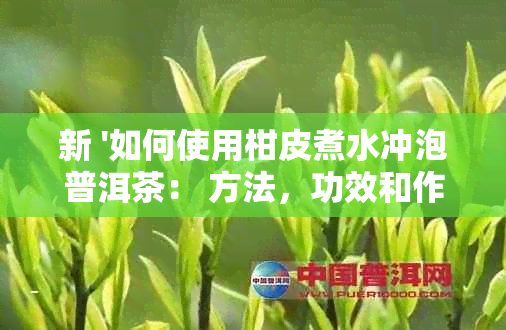 新 '如何使用柑皮煮水冲泡普洱茶： 方法，功效和作用'