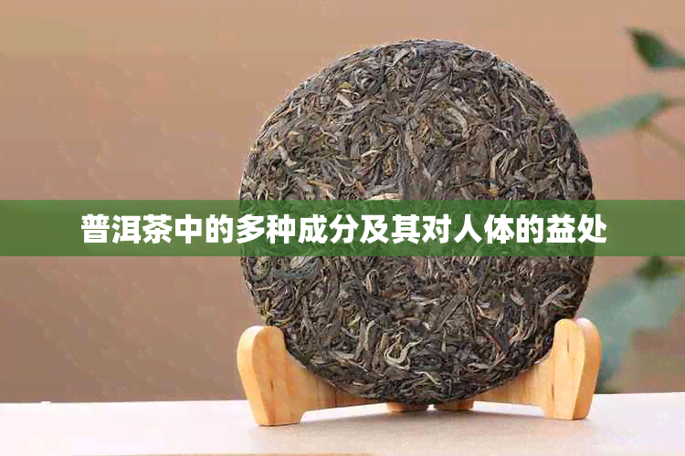 普洱茶中的多种成分及其对人体的益处