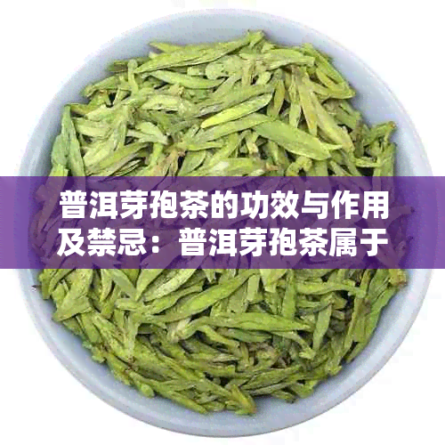 普洱芽孢茶的功效与作用及禁忌：普洱芽孢茶属于什么茶？