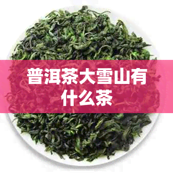 普洱茶大雪山有什么茶