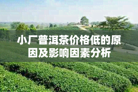 小厂普洱茶价格低的原因及影响因素分析