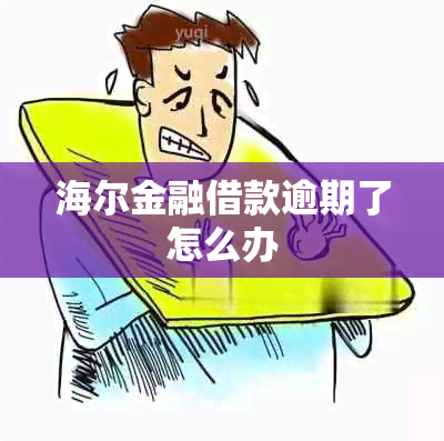 海尔金融借款逾期了怎么办