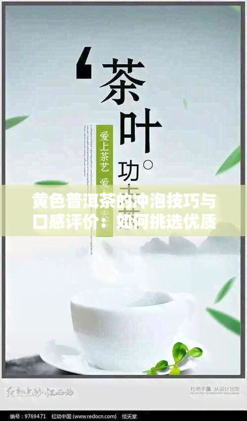 黄色普洱茶的冲泡技巧与口感评价：如何挑选优质茶叶并掌握正确泡法？