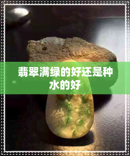 翡翠满绿的好还是种水的好