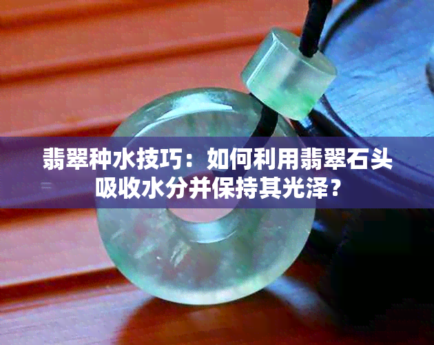 翡翠种水技巧：如何利用翡翠石头吸收水分并保持其光泽？