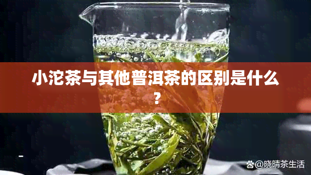 小沱茶与其他普洱茶的区别是什么？