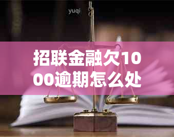 招联金融欠1000逾期怎么处理