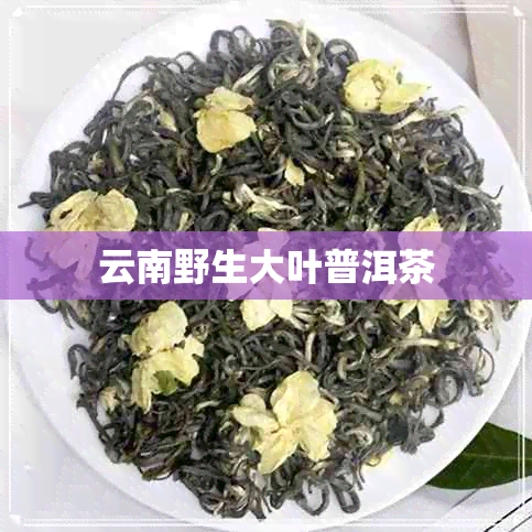 云南野生大叶普洱茶