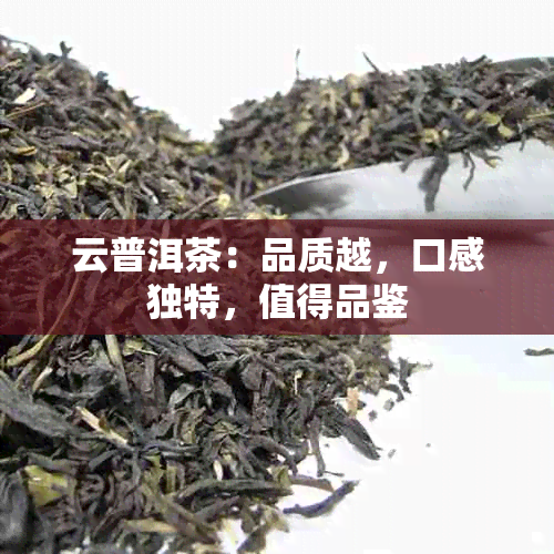 云普洱茶：品质越，口感独特，值得品鉴