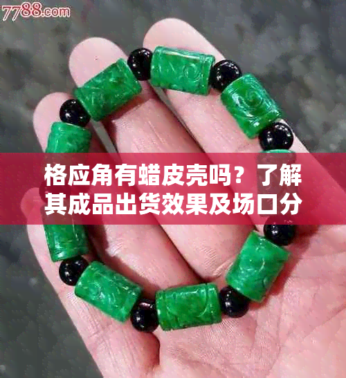 格应角有蜡皮壳吗？了解其成品出货效果及场口分布