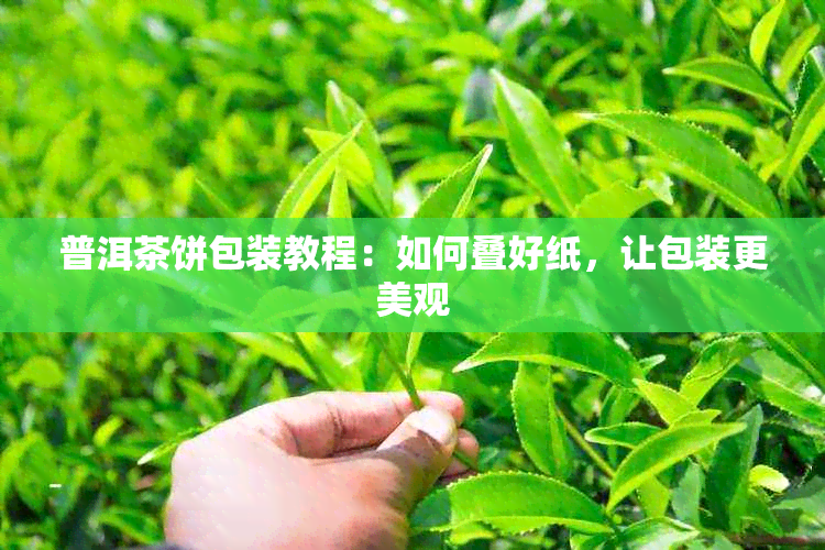 普洱茶饼包装教程：如何叠好纸，让包装更美观