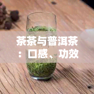 茶茶与普洱茶：口感、功效和适用人群的全面对比，哪个更适合您？