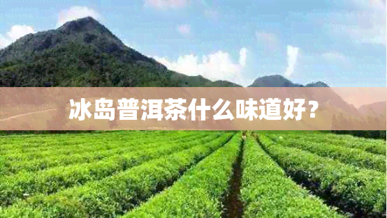 冰岛普洱茶什么味道好？