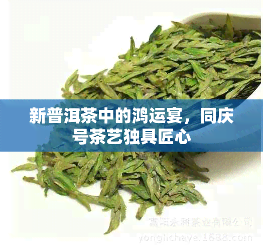 新普洱茶中的鸿运宴，同庆号茶艺独具匠心