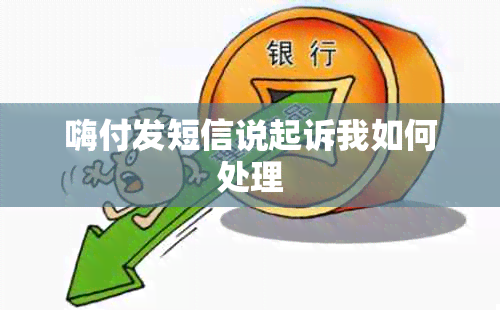 嗨付发短信说起诉我如何处理